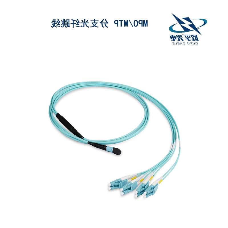 江西MPO/MTP 分支光纤跳线