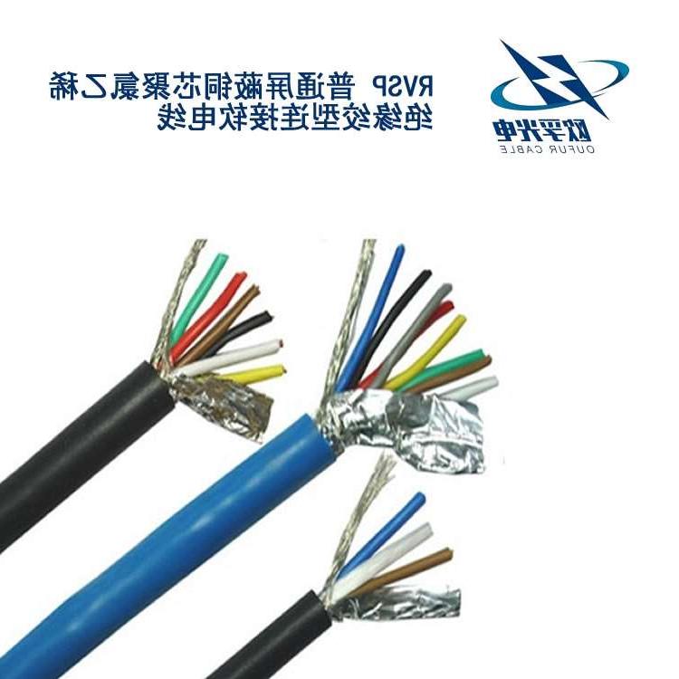 金昌市RVSP电缆